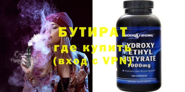сатива Бородино