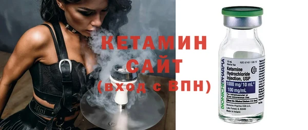 сатива Бородино