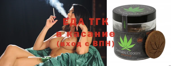 сатива Бородино