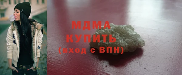 сатива Бородино