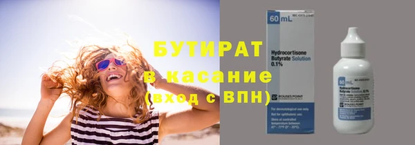 сатива Бородино