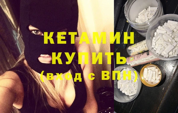 сатива Бородино