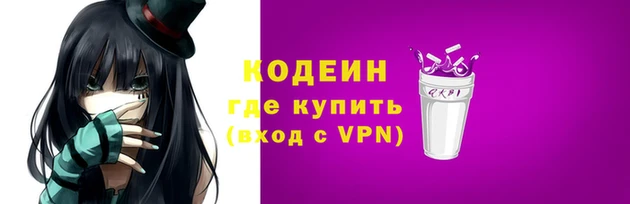 сатива Бородино