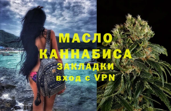 сатива Бородино