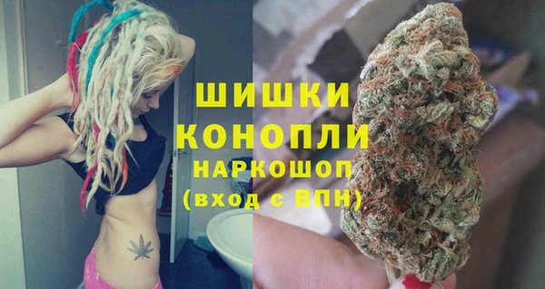 сатива Бородино
