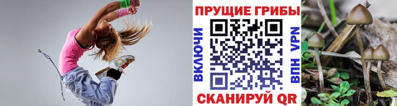 где найти   Гусиноозёрск  Галлюциногенные грибы мухоморы 